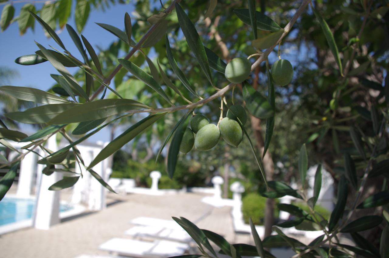 Hotel Nicolaj Polignano a Mare Εξωτερικό φωτογραφία